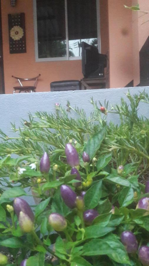 Chom Chan Guesthouse & Hostel เชียงใหม่ ภายนอก รูปภาพ